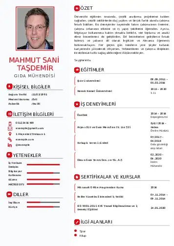 Gıda Mühendisi CV Örnekleri cv indir